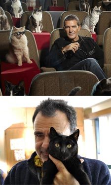 Gato-rico--Banderas-con-botas-gato-pobre--Sorin-90974
